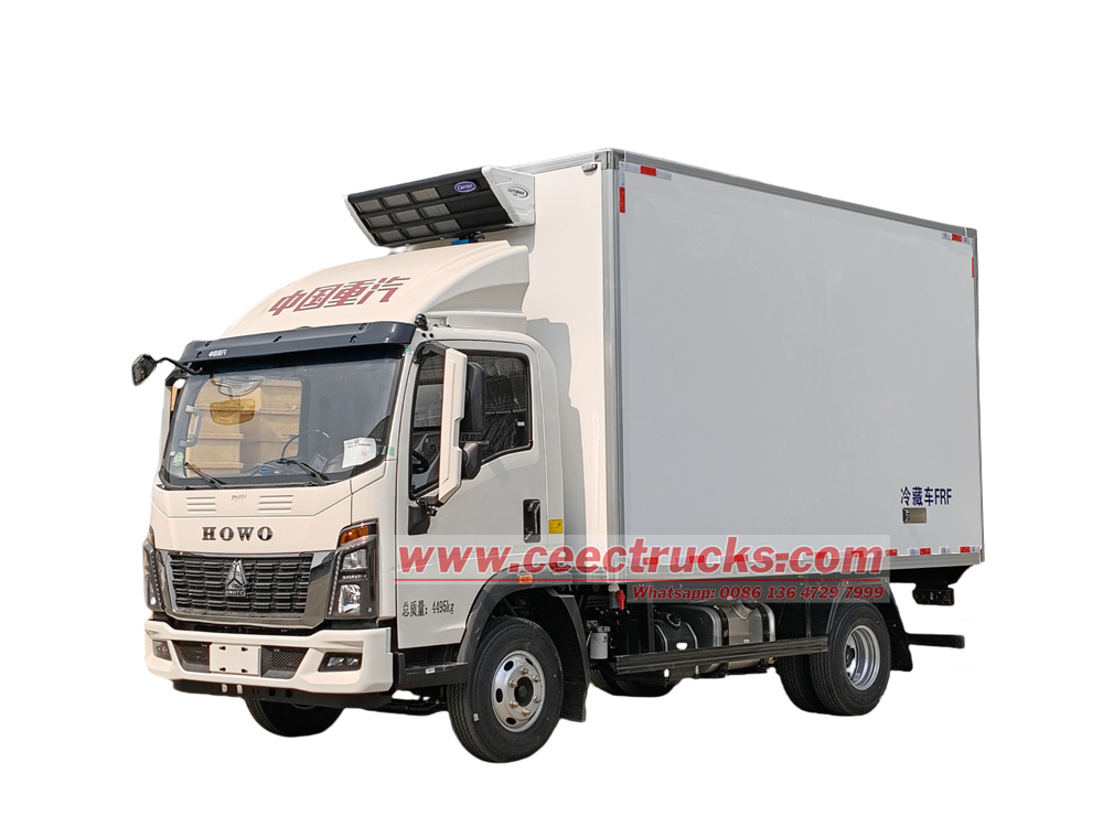  Howo 4x2 freezer truck with carrier unit 
