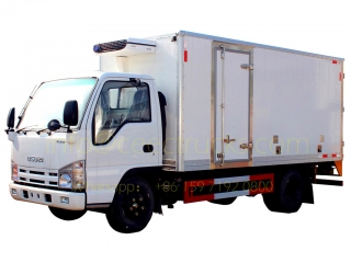 грузовик для перевозки вакцин рефрижератор isuzu Нигерия 10cbm